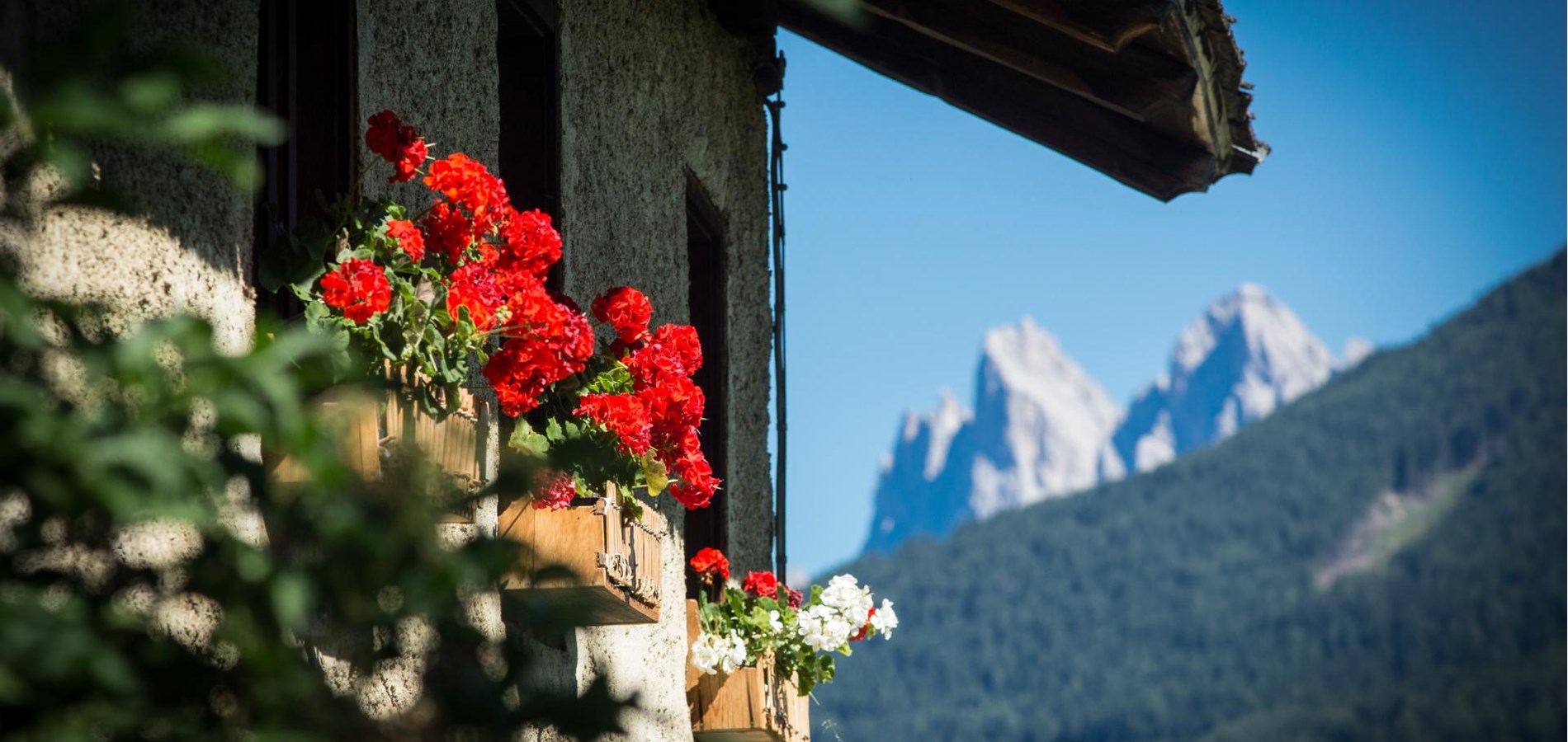 hotelflora-sonstiger-hausausschnitt